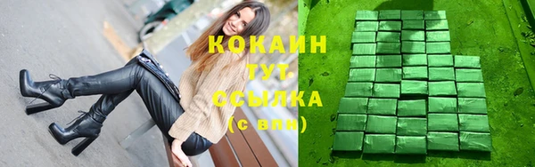 дмт Нея