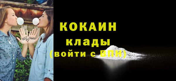 гашик Нефтекумск
