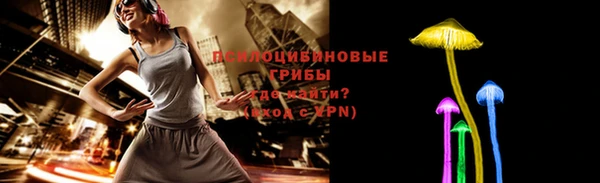 стаф Нефтегорск