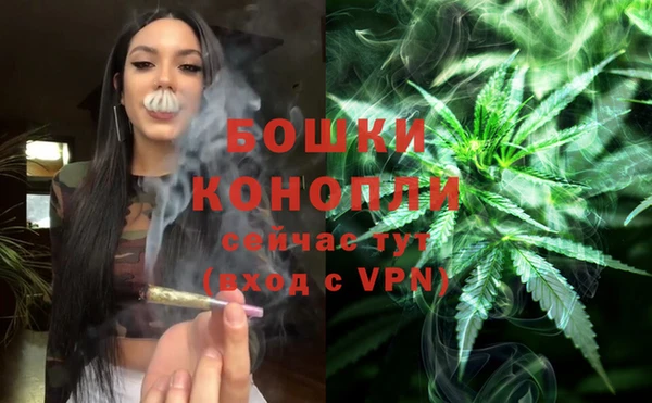 стаф Нефтегорск