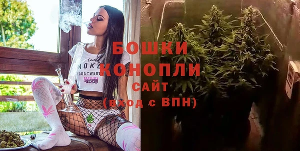 гашик Нефтекумск
