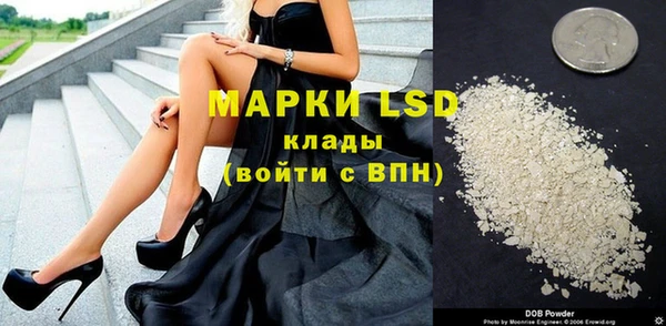 гашик Нефтекумск