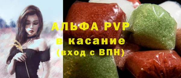 стаф Нефтегорск