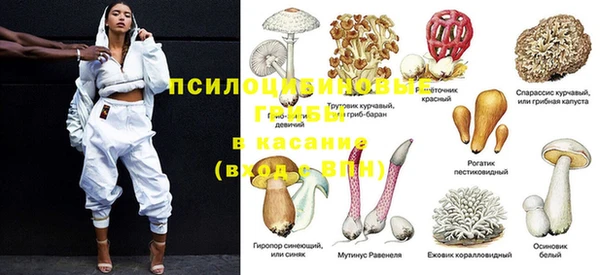 ешки Гусь-Хрустальный