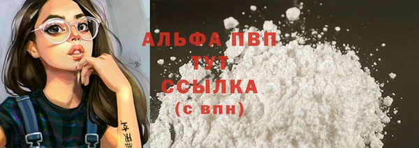 гашик Нефтекумск