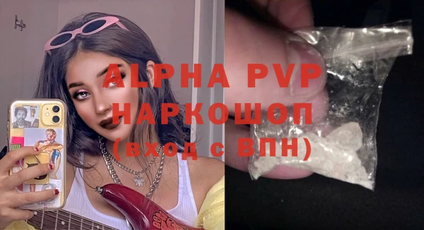 стаф Нефтегорск