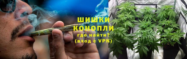 стаф Нефтегорск