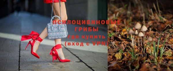 стаф Нефтегорск