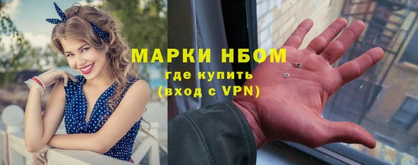 стаф Нефтегорск